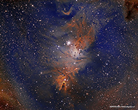 NGC 2264 Narrowband